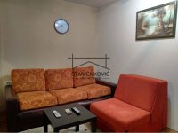 Nekretnina: Izdaje se VEOMA POVOLJNO jednoiposoban stan kod Limanske pijace! ID#6849