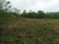Nekretnina: 5100m2 u blizini Hrastovog Brega, Avala