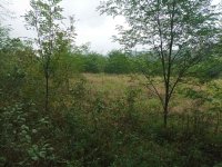 Nekretnina: 5100m2 u blizini Hrastovog Brega, Avala
