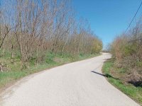 Nekretnina: 5800m2 sa panoramskim pogledom, Avala, Trešnja