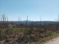 Nekretnina: 5800m2 sa panoramskim pogledom, Avala, Trešnja