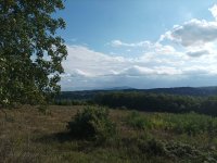 Nekretnina: 5800m2 sa panoramskim pogledom, Avala, Trešnja