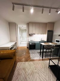 Nekretnina: Lion 30m2- kompletno renoviran i namešten ID#132802