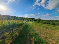 Nekretnina: Grocka - Zaklopača - Plavinci - 95.63a ID#24280