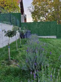 Nekretnina: Voždovac, Zuce, kuća 240m2, 8ari, uknjižena