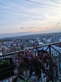 Nekretnina: Zvezdara, Bulevar kralja Aleksandra, 58m2, uknjižen