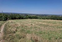 Nekretnina: Vidikovac njiva-pored magistralnog puta Smed.Palanka-Raca