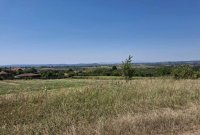 Nekretnina: Vidikovac njiva-pored magistralnog puta Smed.Palanka-Raca