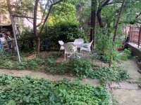 Nekretnina: ZVEZDARA Majke Angeline ID: 8569