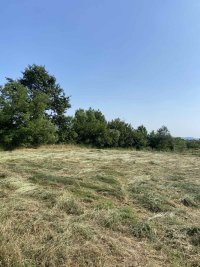 Nekretnina: MLADENOVAC Jakova Nenadovica ID: 34824