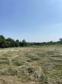 Nekretnina: MLADENOVAC Jakova Nenadovica ID: 34824