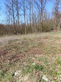 Nekretnina: Prodajem zemljiste u Vrbovnu-Lazarevac