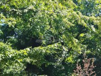 Nekretnina: Sremčica, Beogradska 2. deo, 23 ara i 20m2 ID#1530