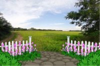 Nekretnina: Izuzetan plac pod Kosmajem  