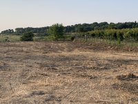 Nekretnina: ZVEZDARA Aleksandra Bugarskog ID: 8589