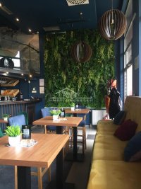 Nekretnina: Lokal, Kneza Višeslava, 53,07m2 ID#1518