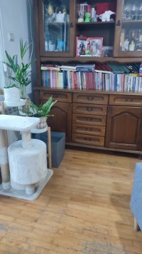 Nekretnina: CUKARICA Ilije Djuricica ID: 34956