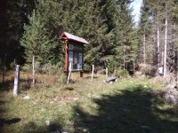 Nekretnina: Prodajem zemljište u Podgori,Žabljak