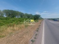 Nekretnina: Smederevo - Industrijska zona - 81,35 ari ID#24347