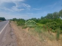 Nekretnina: Smederevo - Industrijska zona - 81,35 ari ID#24347