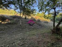 Nekretnina: Beška, građevinsko zemljište, 2 placa 16,66 ari ID#1507