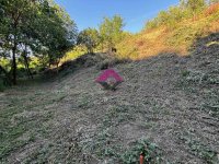 Nekretnina: Beška, građevinsko zemljište, 2 placa 16,66 ari ID#1507