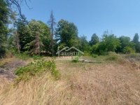 Nekretnina: Smederevo - Vučak - 8ari ID#24379