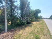 Nekretnina: Smederevo - Vučak - 8ari ID#24379
