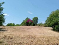 Nekretnina: Sopot, Popović, građevinsko zemljište 41.87ari ID#1520