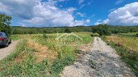 Nekretnina: Palilula - Višnjica - 80,64 ara ID#24431