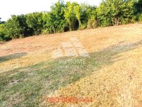 Nekretnina: Plac od 7.78 ara-Surčin-Ključ, Sremskih bećara ID#3404