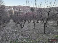 Nekretnina: GRAĐEVINSKI PLAC-LEDINCI