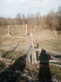 Nekretnina: Prodajem placeve na Kosmaju