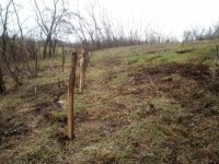 Nekretnina: Prodajem placeve na Kosmaju