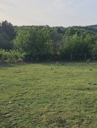Nekretnina: Prodajem gradjevinski plac-Kosmaj