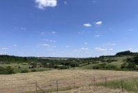 Nekretnina: Meljak 116ari,parcelisano