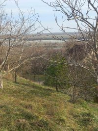 Nekretnina: Plac sa pogledom na Dunav-Belegis