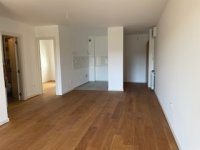 Nekretnina: VRACAR Sumatovacka ID: 8758