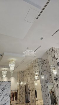 Nekretnina: Vračar - Kneza Miloša - 400m2 ID#24476