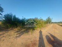 Nekretnina: Smederevo - Kolarski put - 36a ID#24480