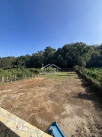 Nekretnina: Smederevo - Centar - 9.78a ID#24495