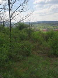 Nekretnina: Plac, Višnjica, gradsko građevinsko zemljište, 34,5 ari