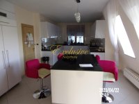 Nekretnina: Dedinje ID#1302