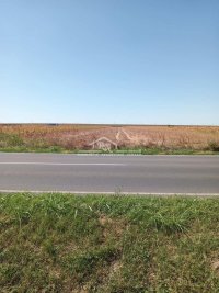 Nekretnina: Batajnica - Klin, 54.09 ari, uknjižen ID#1557