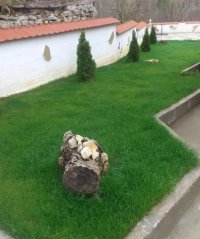 Nekretnina: Kuca na prodaju Niševac-Svrljig