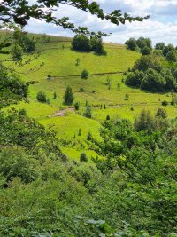 Nekretnina: Stara Planina extra placevi