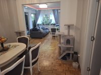 Nekretnina: VOZDOVAC Majska ID: 8814
