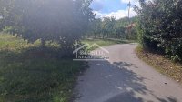 Nekretnina: Grocka - Zaklopača - 47ari ID#24558