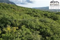 Nekretnina: Neurbanizovano zemljiste Dub Kotor