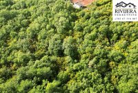 Nekretnina: Neurbanizovano zemljiste Dub Kotor